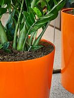 Кашпо Baq ecoline rise regular couple straight D50 H50 см