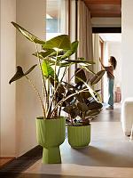 Кашпо Vibes fold coupe fern green D30 H45 см