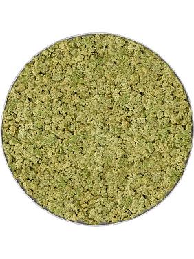 Картина из мха nova frame natural-concrete 100% reindeer (oldgreen) Картина из мха nova frame natural-concrete 100% reindeer (oldgreen)