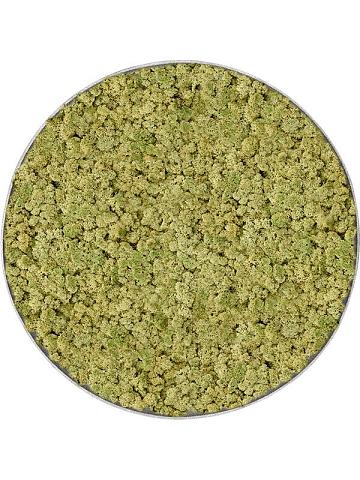 Картина из мха nova frame natural-concrete 100% reindeer (oldgreen) Картина из мха nova frame natural-concrete 100% reindeer (oldgreen)