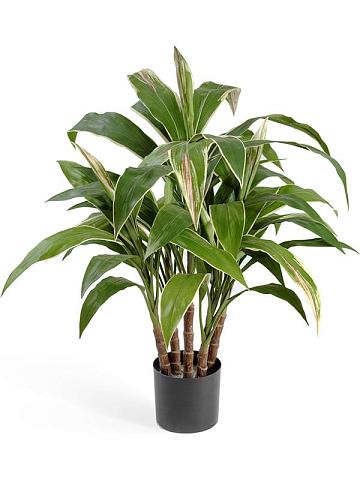 Кордилина в горшке искусственная