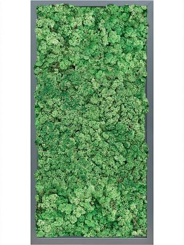 Картина из мха mdf ral 7016 satin gloss 100% reindeer (grass green) Картина из мха mdf ral 7016 satin gloss 100% reindeer (grass green)