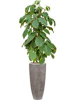 Кашпо Baq polystone plain partner grey (с техническим горшком) D30 H70 см