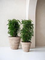 Кашпо Treasure selena l chalk beige D52 H46 см