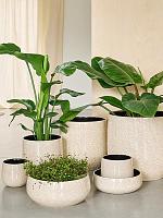 Кашпо Origin pot cream D35 H32 см