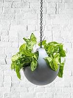 Кашпо подвесное Baq gradient hanging basket matt grey D21 H21 см