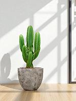 Кашпо Baq sandora couple brown D45 H42 см