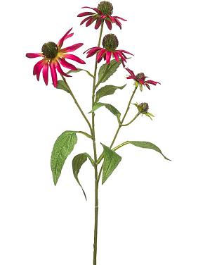 Рудбекия красная искусственная Рудбекия красная искусственная