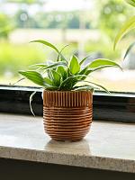 Кашпо Nona pot horizon D8 H8 см