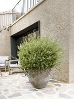 Кашпо Oyster jesslyn m imperial white D60 H52 см