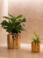 Кашпо Jille pot houses gold D7 H8 см Кашпо Jille pot houses gold D7 H8 см