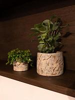 Кашпо Masha pot mint D12 H10 см