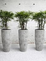 Кашпо Oyster dax l imperial white D36 H80 см