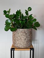 Кашпо Maxim pot shiny sand D24 H22 см