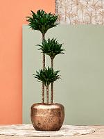 Кашпо Baq opus raw couple gold D38 H30 см