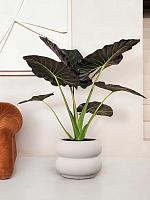 Кашпо Premium amber roll low linnen wit D60 H46 см