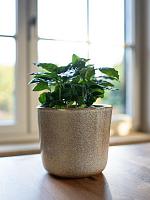 Кашпо Hedy pot sand D18 H17 см