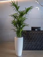 Кашпо Fiberstone dax xl matt white D47 H100 см