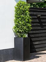 Кашпо Fiberstone bouvy l black L40 W40 H80 см