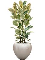 Кашпо Baq metallic silver leaf couple matt light champagne (с техническим горшком) D50 H45 см Кашпо Baq metallic silver leaf couple matt light champagne (с техническим горшком) D50 H45 см