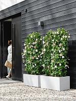 Кашпо Vivo next long rectangle white L59 W30 H29 см