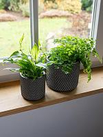 Кашпо Bernt pot shiny black D17 H14 см