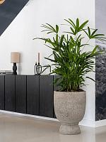 Кашпо Cement & stone jola high l dioriet grey D53 H68 см