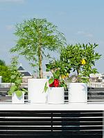 Кашпо Fiberstone puk m glossy white D20 H20 см