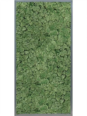 Картина из мха mdf ral 7016 satin gloss 100% reindeer moss (moss green) Картина из мха mdf ral 7016 satin gloss 100% reindeer moss (moss green)