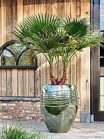 Кашпо Traces emperor forest green D63 H80 см