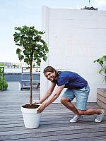 Кашпо Loft urban round with wheels white D59 H53 см