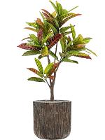 Кротон (Кодиеум) искусственный W30 H95 см Кротон (Кодиеум) искусственный W30 H95 см