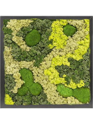 Картина из мха mdf ral 9005 satin gloss 30% ball moss 70% reindeer moss (mix) Картина из мха mdf ral 9005 satin gloss 30% ball moss 70% reindeer moss (mix)