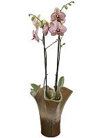 Ваза Alma pot tall old terra D20 H24 см Ваза Alma pot tall old terra D20 H24 см