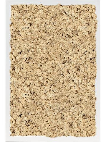 Картина из мха mdf ral 9010 satin gloss 100% reindeer moss (natural)