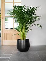 Кашпо Isabel pot black D26 H26 см