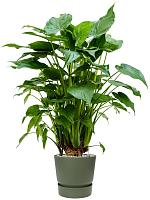 Кашпо с поддоном Greenville round leaf green D30 H27 см Кашпо с поддоном Greenville round leaf green D30 H27 см