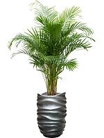 Кашпо Baq gradient lee partner matt grey (с техническим горшком) D40 H61 см