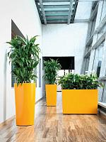 Кашпо Baq ecoline phoenix regular partner straight D41 H76 см