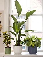 Кашпо Vibes fold round fern green D18 H16 см