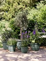 Кашпо Amiga round thyme green D47 H35 см