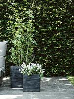 Кашпо Capi nature rib nl planter square black L30 W30 H30 см