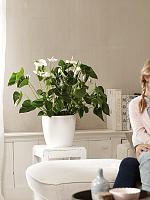 Кашпо Brussels® round white D24 H23 см