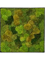 Картина из мха nova frame anthracite-concrete 20% flat and 80% exclusive moss (mix) L60 W60 H5 см