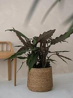 Кашпо Bohemian patt l straw grass D35 H30 см Кашпо Bohemian patt l straw grass D35 H30 см