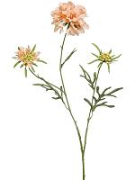 Скабиоза ветвь с персиковыми цветами искусственная W20 H77 см Скабиоза ветвь с персиковыми цветами искусственная W20 H77 см