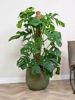 Кашпо Lydia pot shiny green D36 H32 см