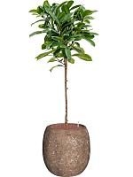 Кашпо Baq polystone coated plain balloon rock (с техническим горшком) D42 H42 см