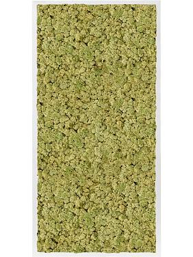 Картина из мха mdf ral 9010 satin gloss 100% reindeer moss (old green) Картина из мха mdf ral 9010 satin gloss 100% reindeer moss (old green)
