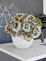 Кашпо Ridged horizontally abby s cement D23 H20 см